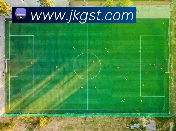 九游入口官网登录平台生态图